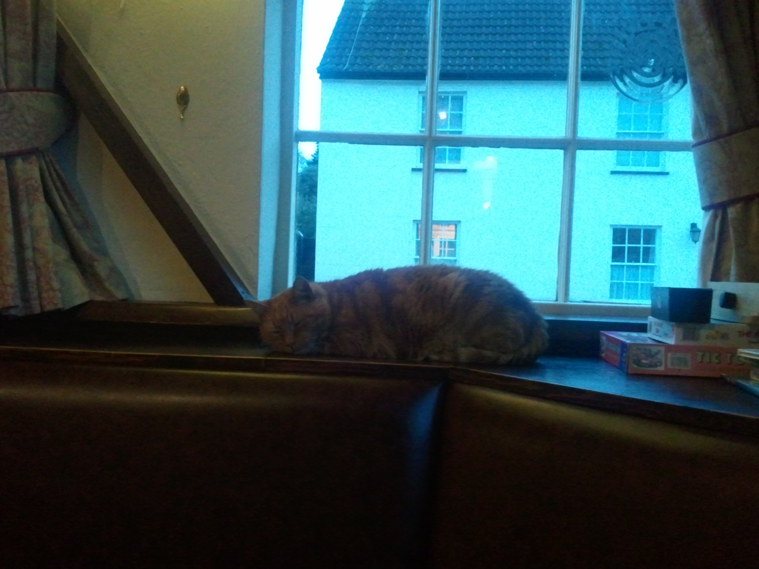 Garfield