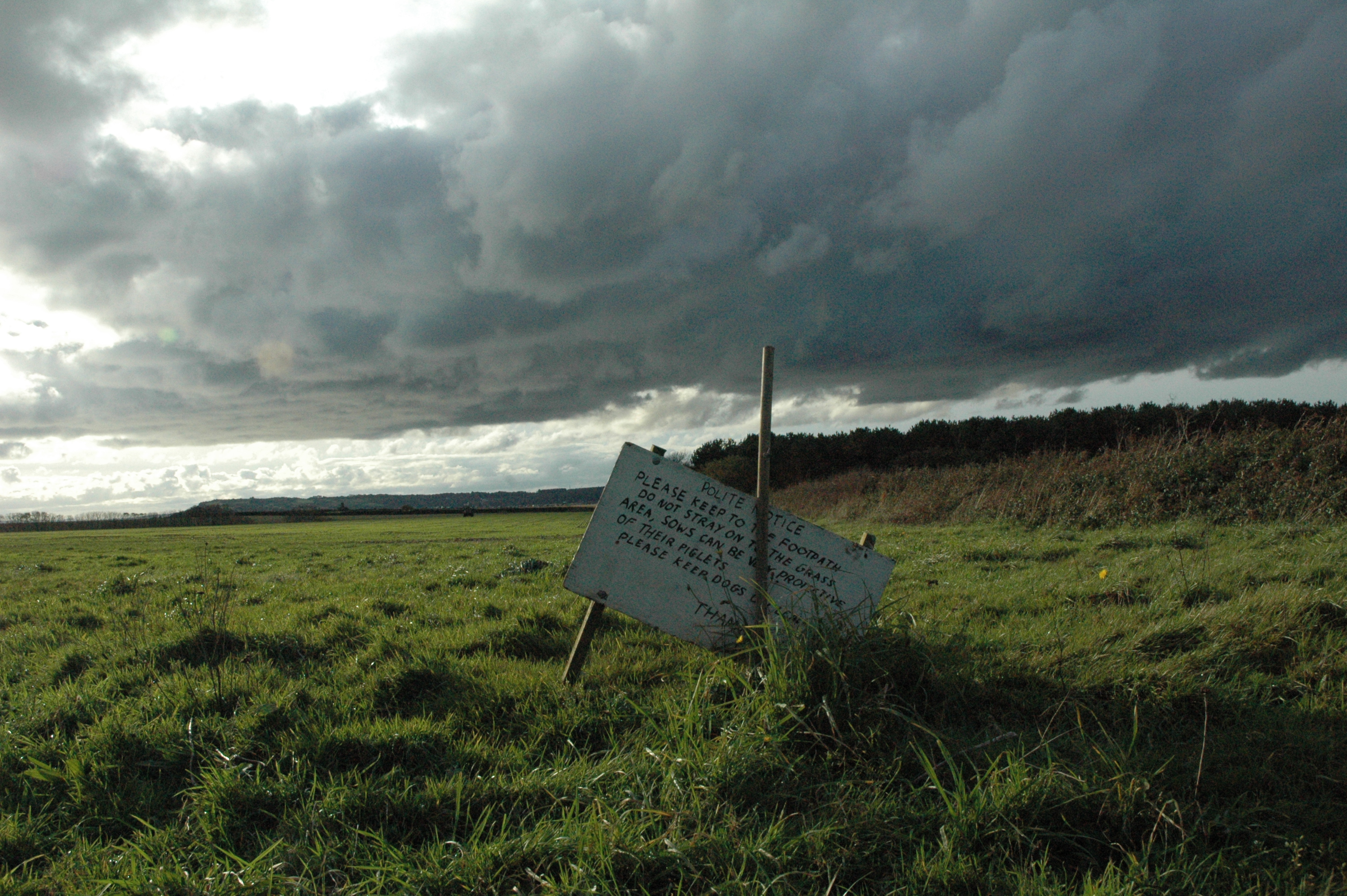 Sign post