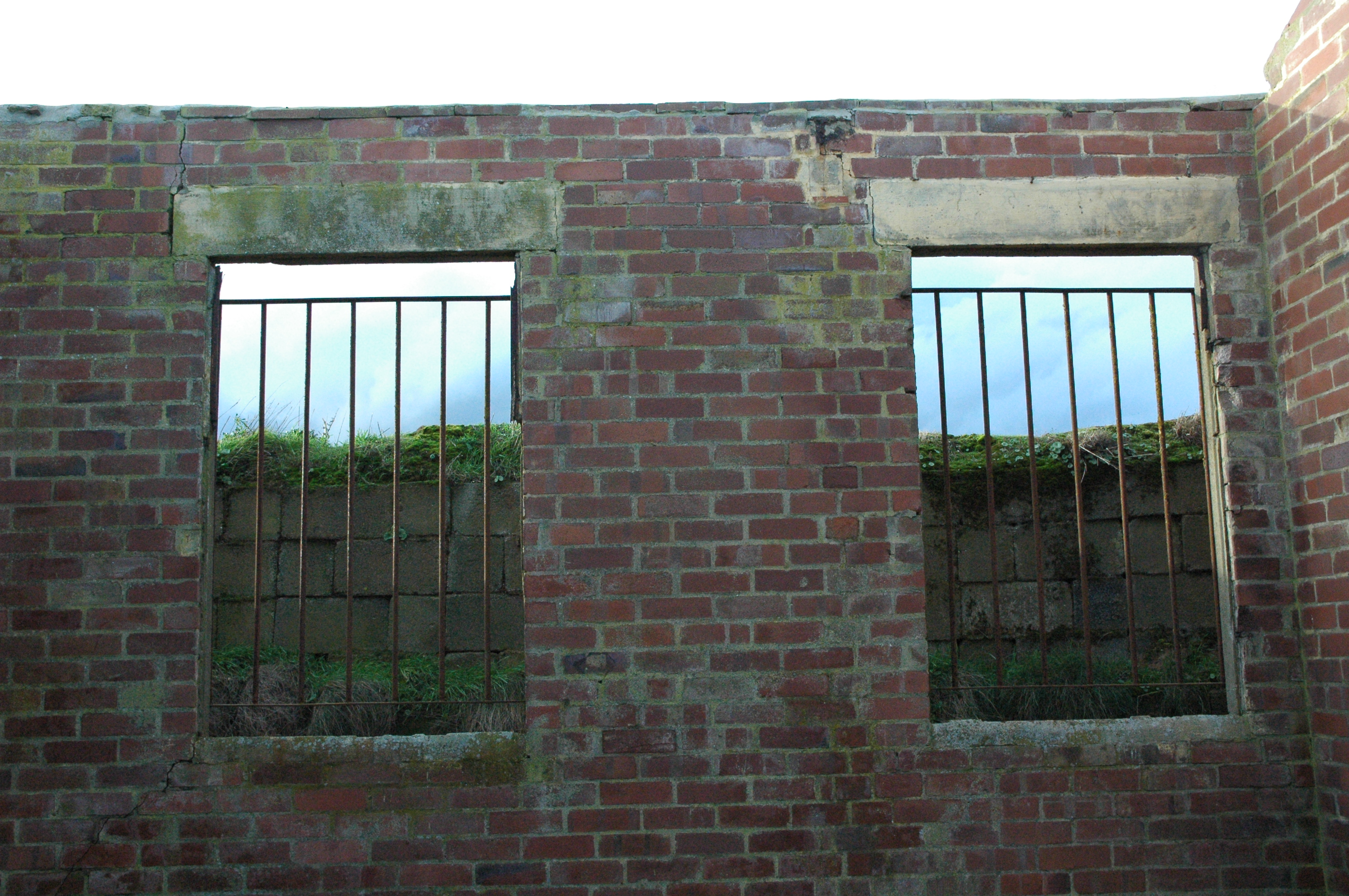 View out of Brandy Head
