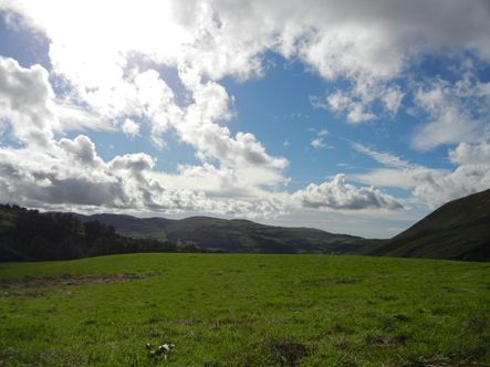 View 1