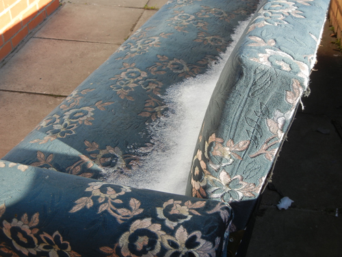 Floral blue frost 1