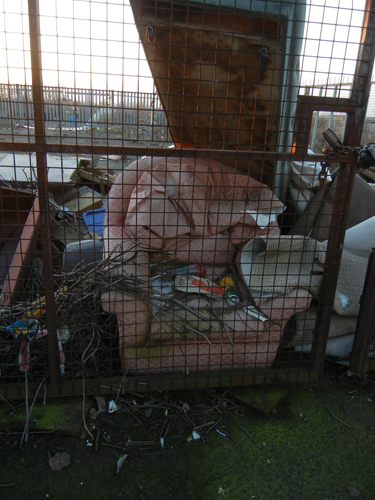 Sunset pink chair 2
