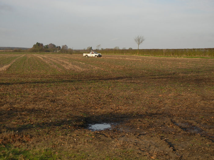 White truck in field