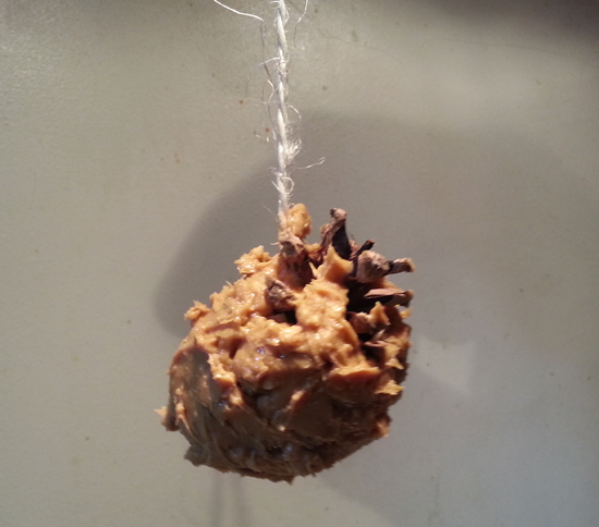 Peanut butter on pine cone